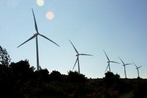 WindEurope: Coronavirus impact on wind power in the first half – Offshore funding record
