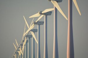 GWEC: Fluent growth in the wind industry shows data for the next five years