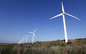 New research proves the compatibility of wind turbines with the conservation of birds